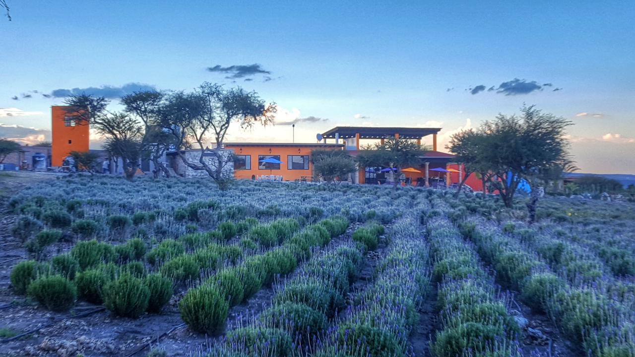 El Macehual Hotel Atotonilco  Exterior photo